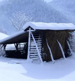 Izdelava in montaza lesenih konstrukcij po meri slovenija