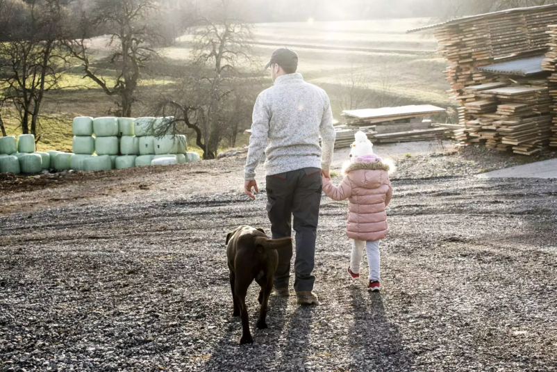 Cenovno ugodna prodaja lesenih ročajev v Sloveniji