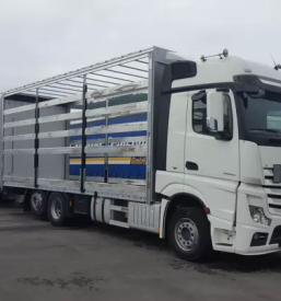 Izdelava in servis nadgradenj in prikolic v sloveniji