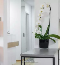 Izdelava kuhinj po meri ljubljana