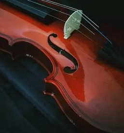 Izdelava violine viole in violoncela ljubljana okolica