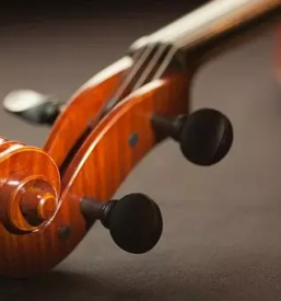 Izdelava violine viole in violoncela ljubljana okolica