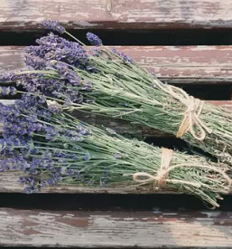 Izdelki iz sivke v sloveniji