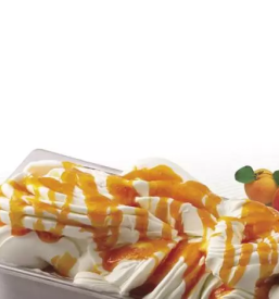 Izdelki za sladoled slovenija