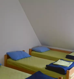 Izlet na erjavcevo koco jesenice