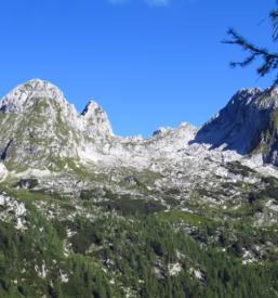 Izlet na koco pri izviru soce jesenice