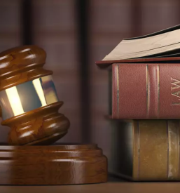 Izobrazevalni center savinjska in slovenija