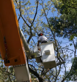 Izposoja in najem dviznih ploscadi in kosar savinjska