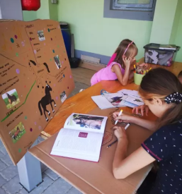 Jahanje konj za otroke Žalec, Celje