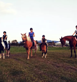 Jahanje za otroke Žalec, Savinjska