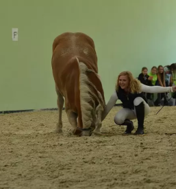 Jahanje konj za otroke Žalec