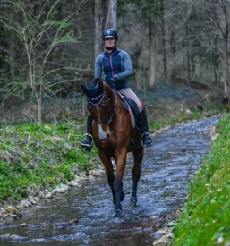 Jahanje za otroke in odrasle Žalec, Slovenija