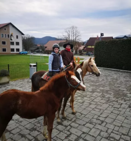 Jahanje konj za otroke Žalec, Savinjska