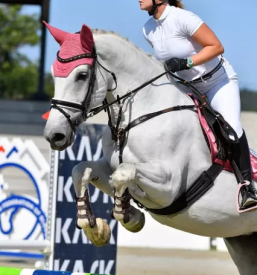 Jahanje za otroke Žalec