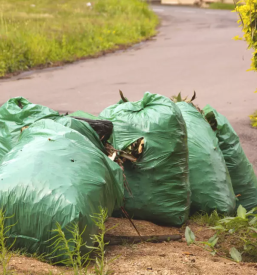 Urejanje okolice Zagorje