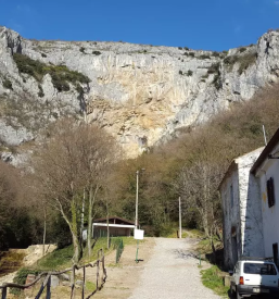 Jedi po narocilu in ribje jedi Sežana