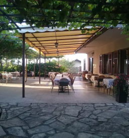 Jedi po narocilu in ribje jedi Sežana