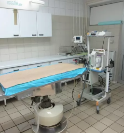 Klinika za male živali goriška