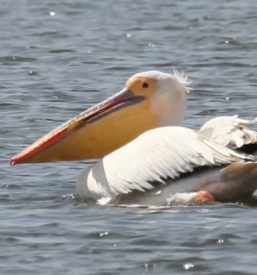 Kakovosten  turistični vodič po sloveniji in evropi