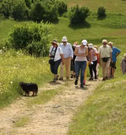 Kakovosten turistični vodič po sloveniji in evropi