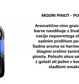 Dobra vinska klet Bela krajina