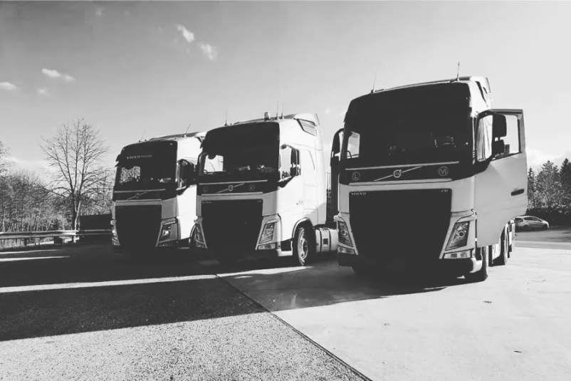 Ugodni kamionski prevozi blaga v Sloveniji