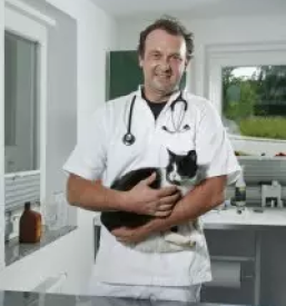 Kastracija psov dolenjska