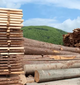 Kauf und verkauf von protokollen slowenien