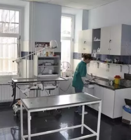 Kiropraktika za vse živali Vipava, Primorska