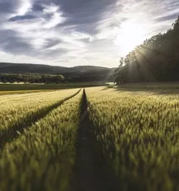 Kmetijska zadruga Štajerska