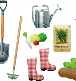 Kmetijski repromaterial stajerska - strokovno in zanesljivo