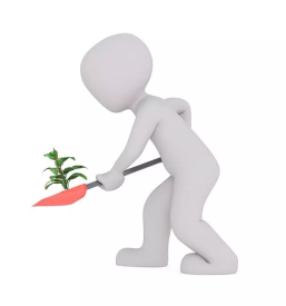 Kmetijski repromaterial stajerska