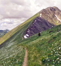 Koca na golici jesenice