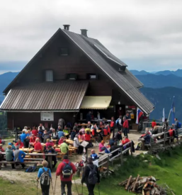 Koca na golici jesenice