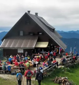 Koca na golici jesenice