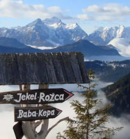 Koca na golici jesenice