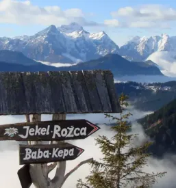 Koca na golici jesenice