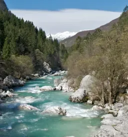 Koca pri izviru soce na jesenicah