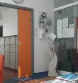 Koloskopija murska sobota