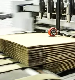 Kartonverpackung