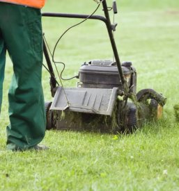 Kosnja trave maribor okolica
