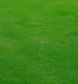 Kosnja trave in polaganje trave ljubljana okolica