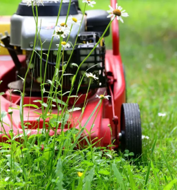 Kosnja trave in polaganje trave ljubljana okolica