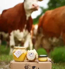Kuhano maslo ghee