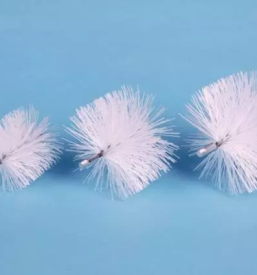 Kvalitete krtace slovenija