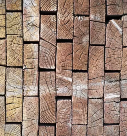 Trgovina z lesom Ljubljana