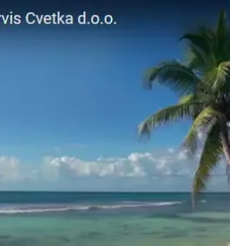 Kvaliteten računovodski servis ljubljana z okolico