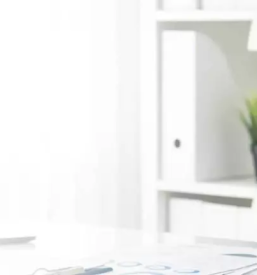 Dober računovodja Primorska