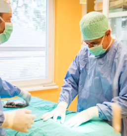 Kvalitetna veterina Ljubljana, Slovenija