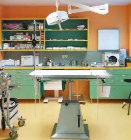 Ugoden veterinar v Ljubljani